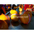 High Quality Wholesale Yummy Shaddock Fresh Fruit Honey Pomelo